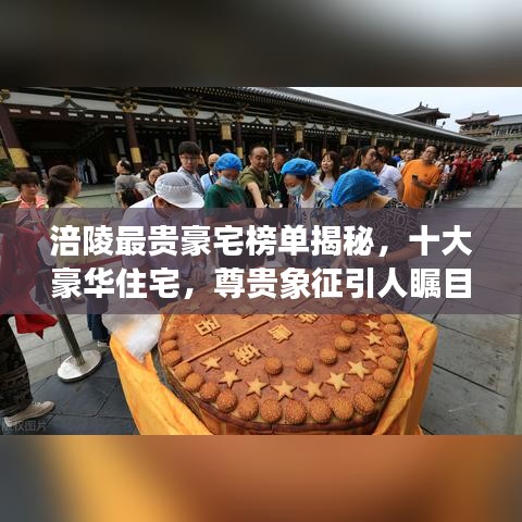 半截鳥木