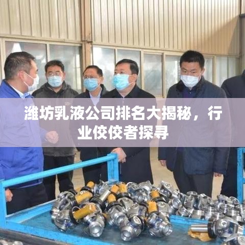 濰坊乳液公司排名大揭秘，行業(yè)佼佼者探尋