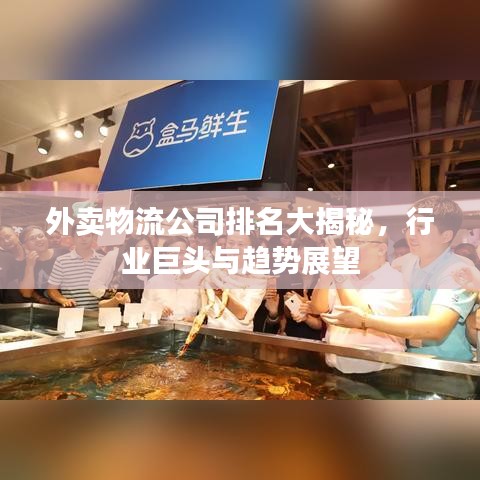 外賣物流公司排名大揭秘，行業(yè)巨頭與趨勢展望