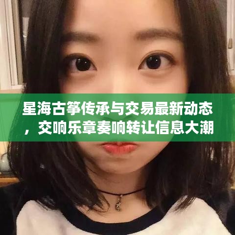 星海古箏傳承與交易最新動態(tài)，交響樂章奏響轉(zhuǎn)讓信息大潮