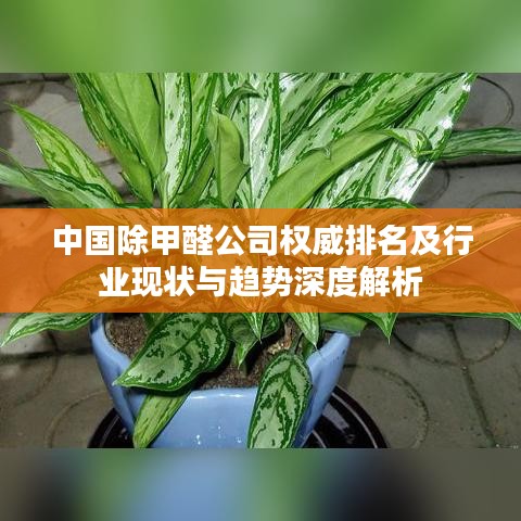 2025年5月23日 第2頁