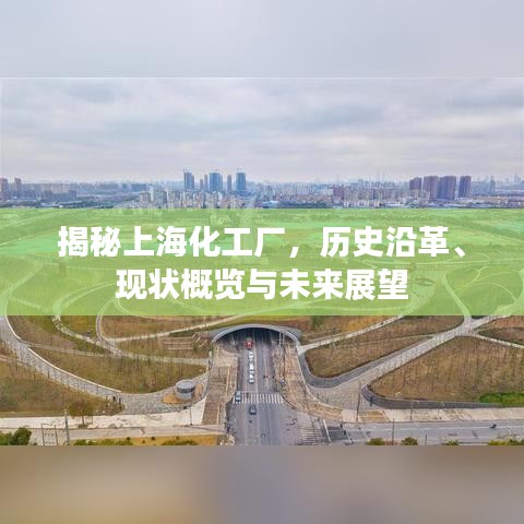 揭秘上?；S，歷史沿革、現(xiàn)狀概覽與未來(lái)展望