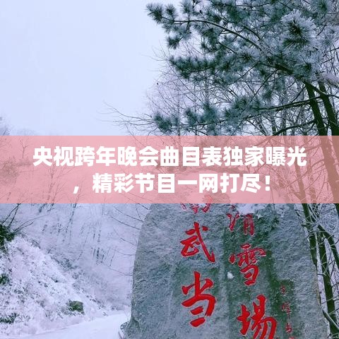 2025年5月24日 第10頁