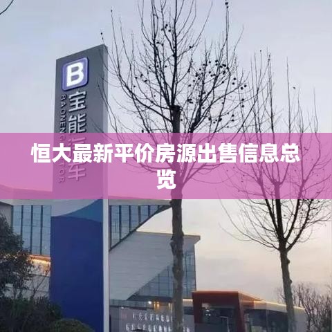 恒大最新平價(jià)房源出售信息總覽