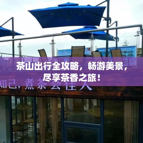 茶山出行全攻略，暢游美景，盡享茶香之旅！
