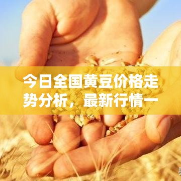 2025年5月24日 第6頁(yè)