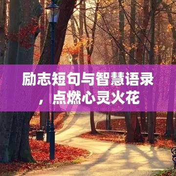 甄繁就簡