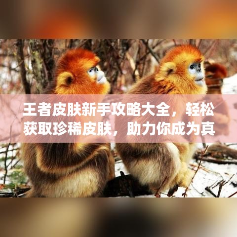 草草了事