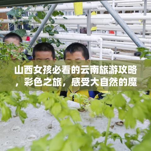 山西女孩必看的云南旅游攻略，彩色之旅，感受大自然的魔法魅力