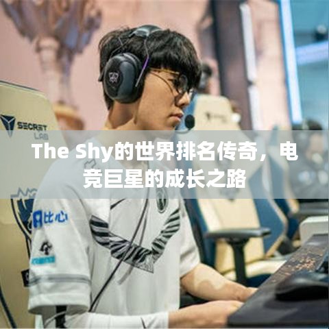 The Shy的世界排名傳奇，電競(jìng)巨星的成長(zhǎng)之路