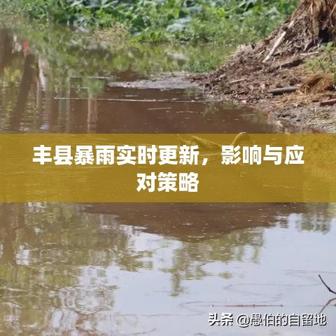 豐縣暴雨實(shí)時(shí)更新，影響與應(yīng)對(duì)策略