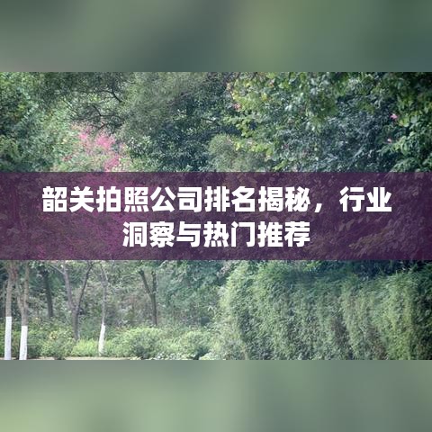 韶關(guān)拍照公司排名揭秘，行業(yè)洞察與熱門推薦