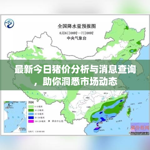 最新今日豬價(jià)分析與消息查詢，助你洞悉市場(chǎng)動(dòng)態(tài)
