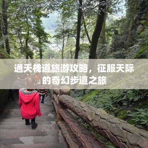 通天棧道旅游攻略，征服天際的奇幻步道之旅