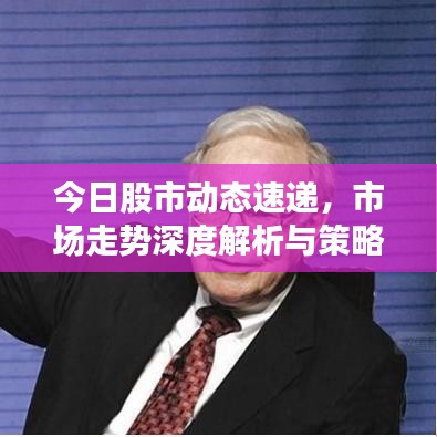 今日股市動態(tài)速遞，市場走勢深度解析與策略建議