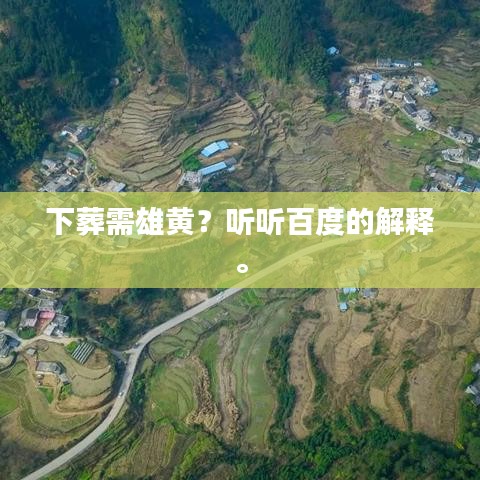 下葬需雄黃？聽聽百度的解釋。