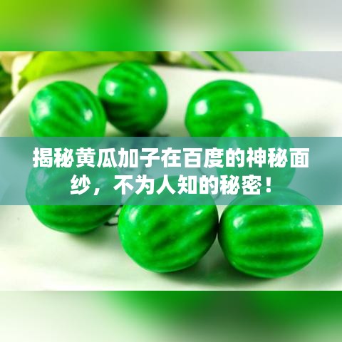 揭秘黃瓜加子在百度的神秘面紗，不為人知的秘密！