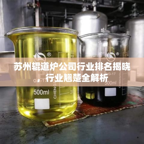 蘇州輥道爐公司行業(yè)排名揭曉，行業(yè)翹楚全解析