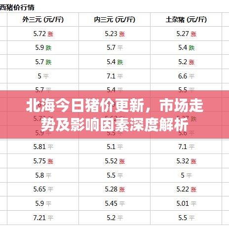 北海今日豬價(jià)更新，市場(chǎng)走勢(shì)及影響因素深度解析