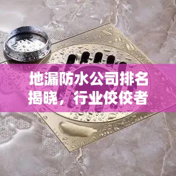 地漏防水公司排名揭曉，行業(yè)佼佼者深度解析