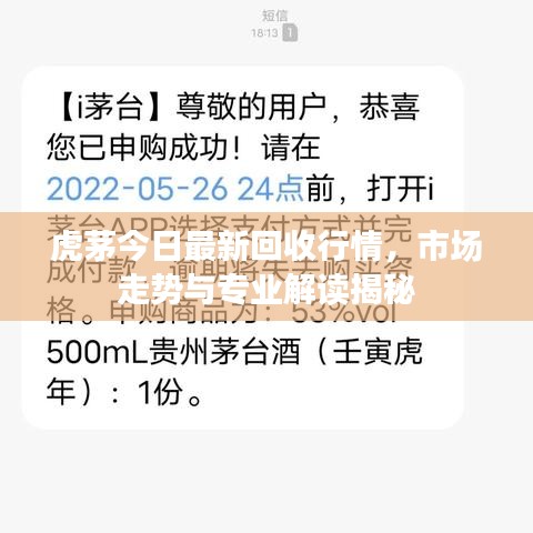 虎茅今日最新回收行情，市場走勢與專業(yè)解讀揭秘