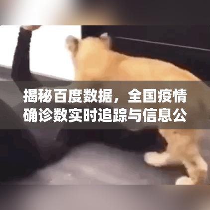 揭秘百度數(shù)據(jù)，全國(guó)疫情確診數(shù)實(shí)時(shí)追蹤與信息公開(kāi)