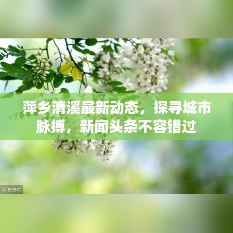 萍鄉(xiāng)清溪最新動態(tài)，探尋城市脈搏，新聞頭條不容錯過