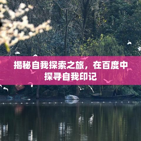 揭秘自我探索之旅，在百度中探尋自我印記