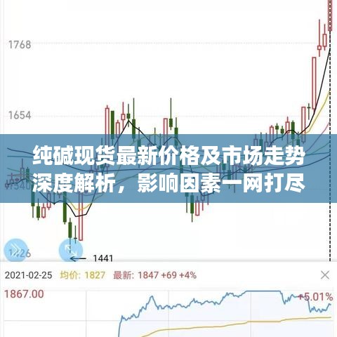 純堿現(xiàn)貨最新價格及市場走勢深度解析，影響因素一網打盡！