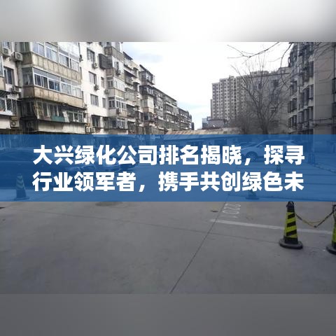 大興綠化公司排名揭曉，探尋行業(yè)領(lǐng)軍者，攜手共創(chuàng)綠色未來