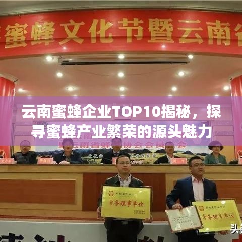 云南蜜蜂企業(yè)TOP10揭秘，探尋蜜蜂產(chǎn)業(yè)繁榮的源頭魅力