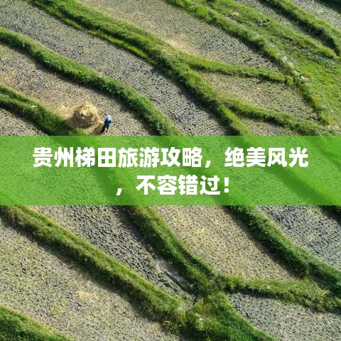 貴州梯田旅游攻略，絕美風(fēng)光，不容錯過！