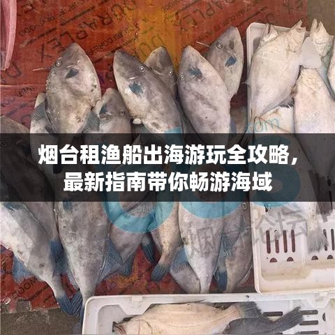 煙臺租漁船出海游玩全攻略，最新指南帶你暢游海域