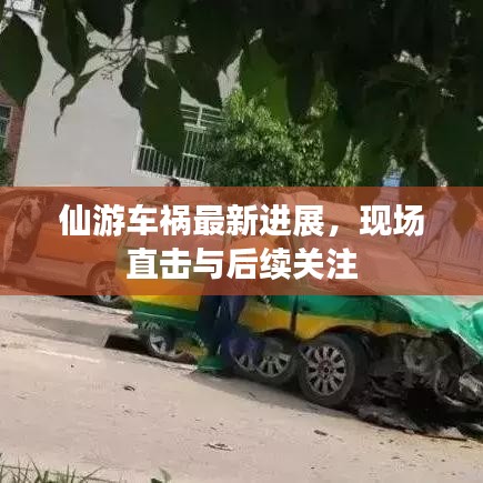 仙游車(chē)禍最新進(jìn)展，現(xiàn)場(chǎng)直擊與后續(xù)關(guān)注