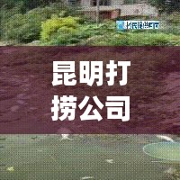 昆明打撈公司排名揭曉，行業(yè)影響力深度解析