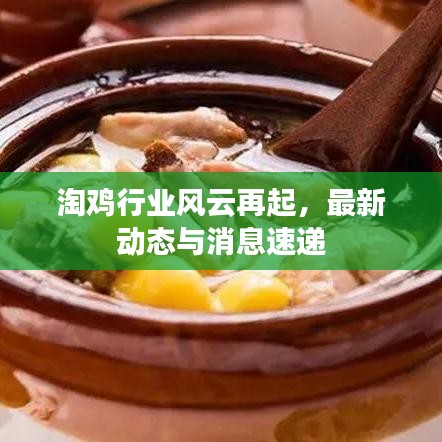 淘雞行業(yè)風云再起，最新動態(tài)與消息速遞