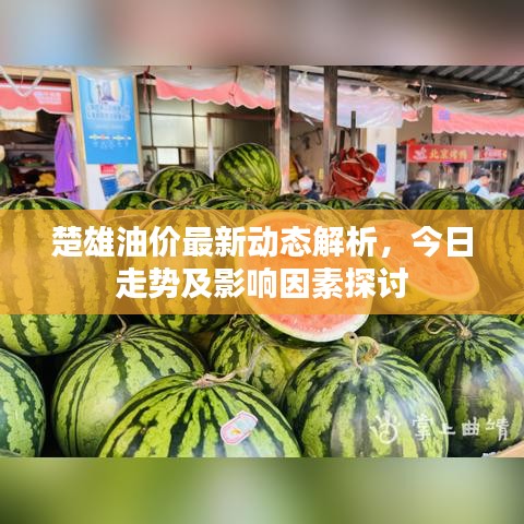 楚雄油價最新動態(tài)解析，今日走勢及影響因素探討