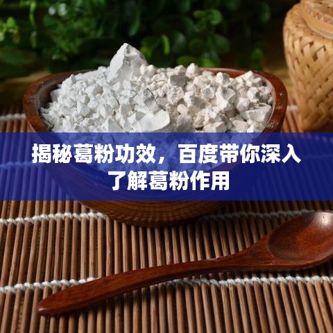 揭秘葛粉功效，百度帶你深入了解葛粉作用