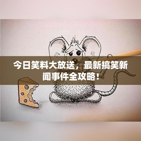 今日笑料大放送，最新搞笑新聞事件全攻略！