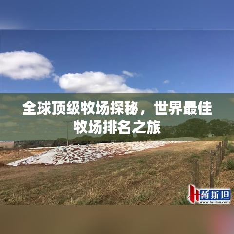 全球頂級(jí)牧場(chǎng)探秘，世界最佳牧場(chǎng)排名之旅