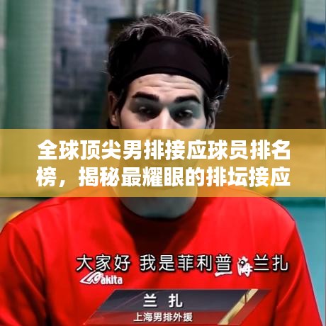 全球頂尖男排接應(yīng)球員排名榜，揭秘最耀眼的排壇接應(yīng)之星