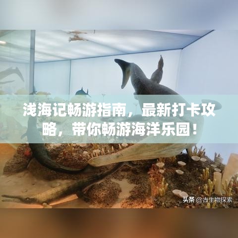 淺海記暢游指南，最新打卡攻略，帶你暢游海洋樂園！