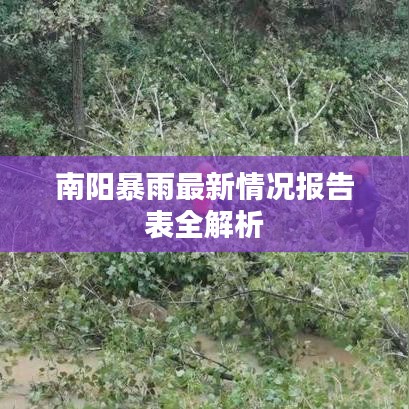 南陽暴雨最新情況報告表全解析