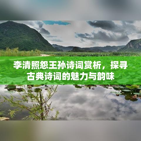 李清照怨王孫詩詞賞析，探尋古典詩詞的魅力與韻味
