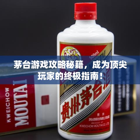 茅臺游戲攻略秘籍，成為頂尖玩家的終極指南！