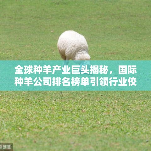 全球種羊產(chǎn)業(yè)巨頭揭秘，國際種羊公司排名榜單引領(lǐng)行業(yè)佼佼者