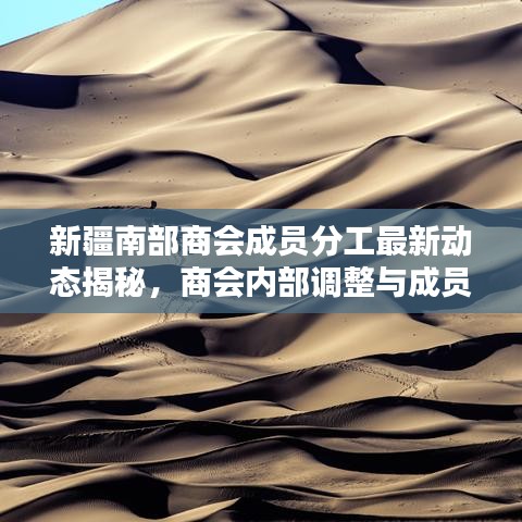 新疆南部商會(huì)成員分工最新動(dòng)態(tài)揭秘，商會(huì)內(nèi)部調(diào)整與成員職責(zé)分工一覽