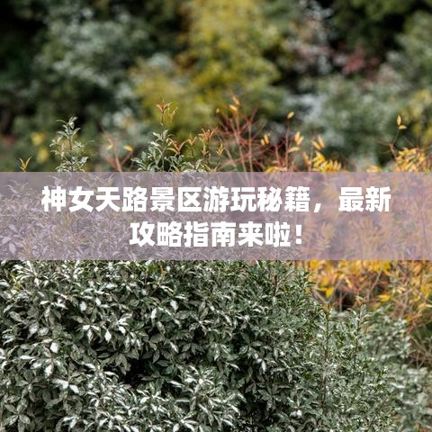 神女天路景區(qū)游玩秘籍，最新攻略指南來(lái)啦！