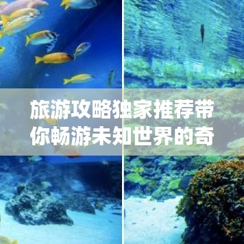 旅游攻略獨(dú)家推薦帶你暢游未知世界的奇妙之旅！