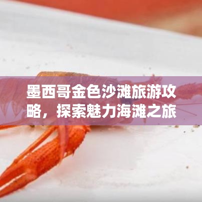墨西哥金色沙灘旅游攻略，探索魅力海灘之旅